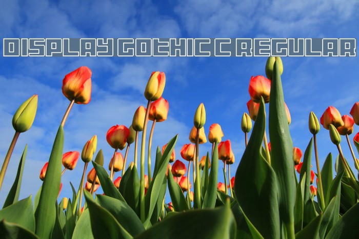 Display Gothic C Regular Font examples