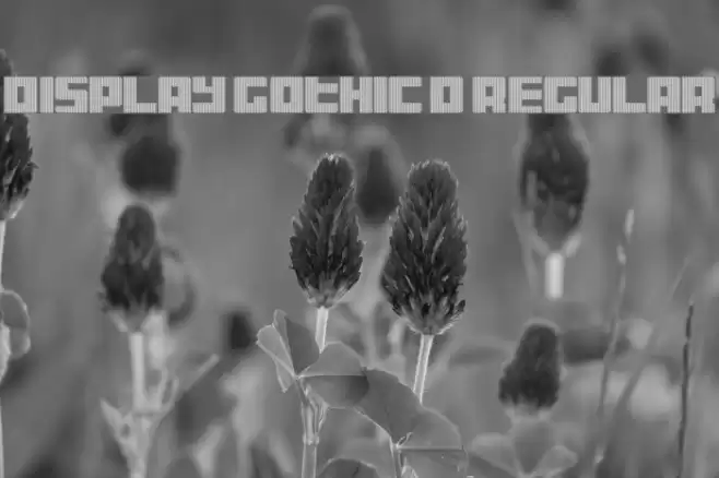 Display Gothic D Regular フォント examples