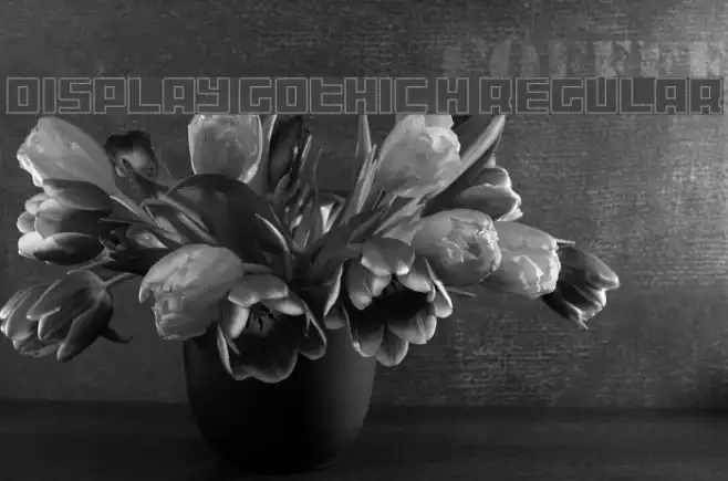 Display Gothic H Regular Example 2