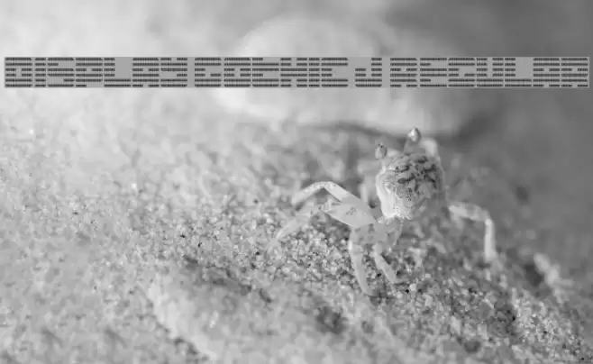 Display Gothic J Regular フォント examples