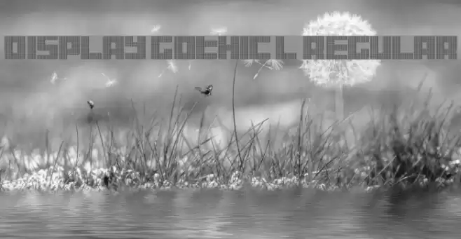 Display Gothic L Regular Font examples