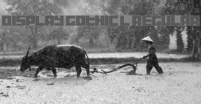 Display Gothic L Regular Font examples