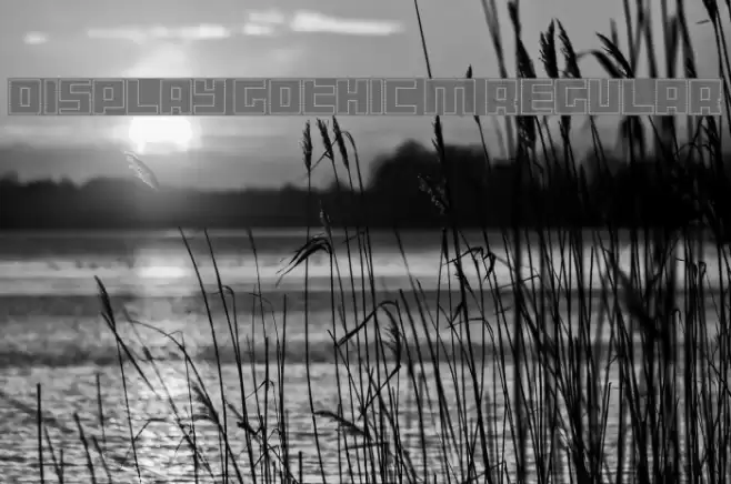 Display Gothic M Regular フォント examples