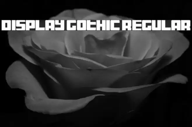 Display Gothic Regular Font examples