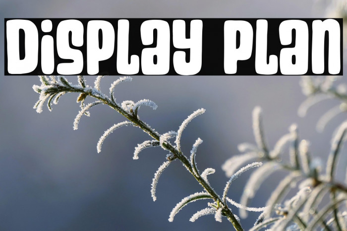 Display Plan Example 1