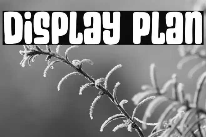 Display Plan خط examples