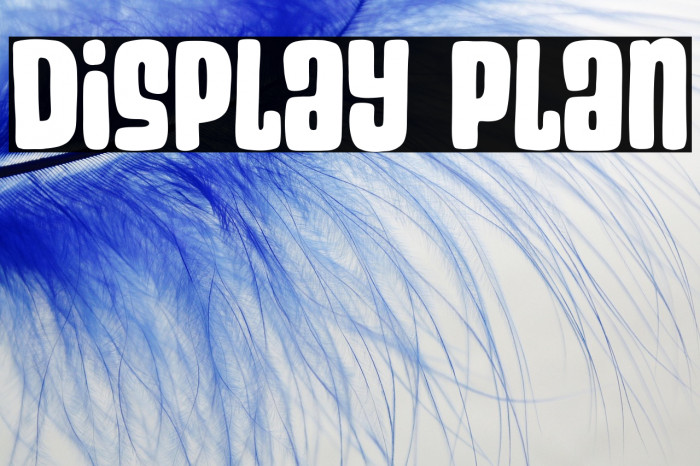 Display Plan Example 2