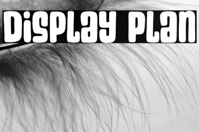 Display Plan خط examples