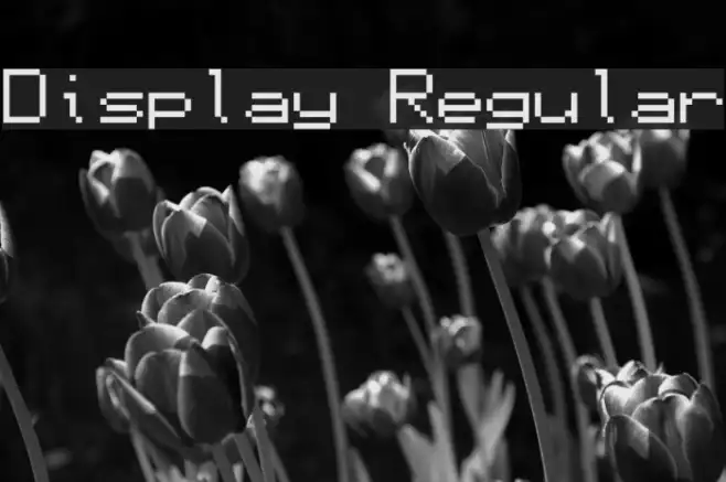 Display Regular Example 3