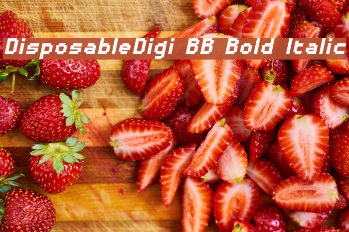 DisposableDigi BB Bold Italic Font examples