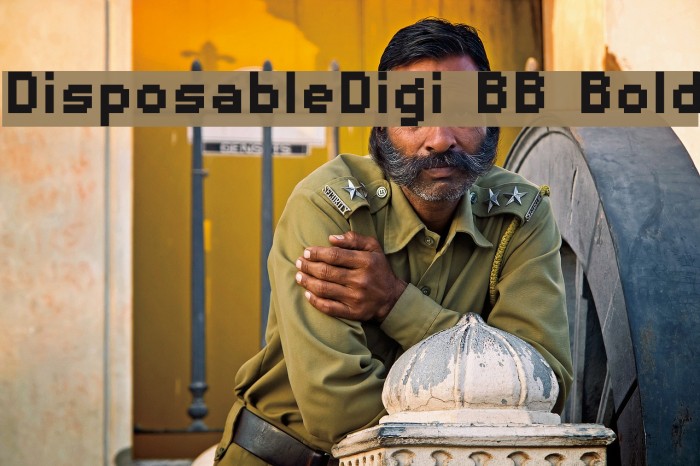 DisposableDigi BB Bold Font examples