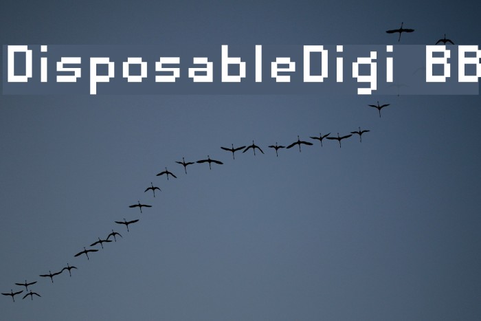 DisposableDigi BB Font examples
