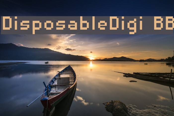 DisposableDigi BB Font examples