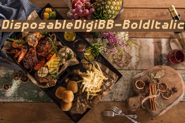 DisposableDigiBB-BoldItalic Font examples