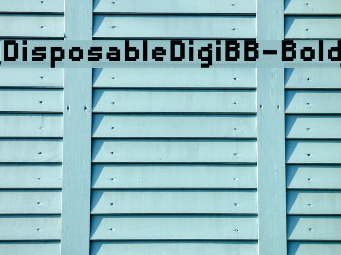DisposableDigiBB-Bold Font examples