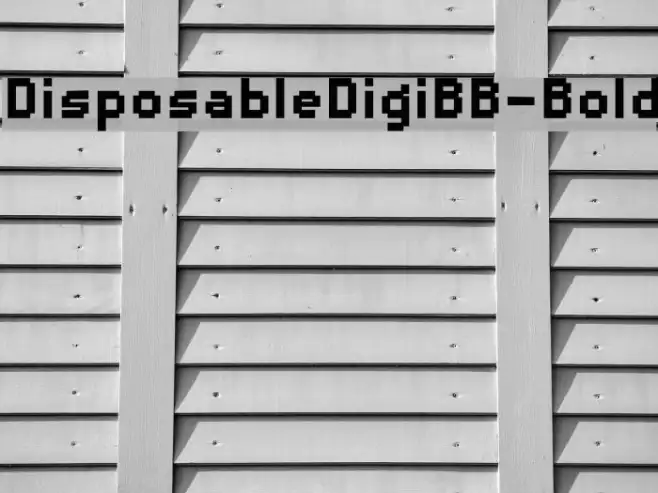 DisposableDigiBB-Bold Example 1