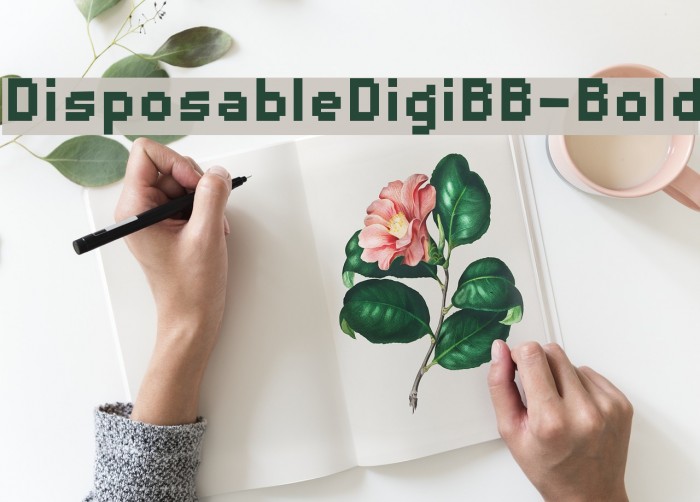 DisposableDigiBB-Bold Font examples