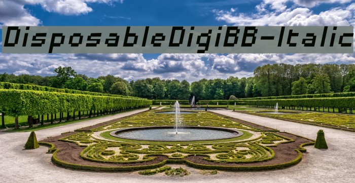 DisposableDigiBB-Italic Font examples