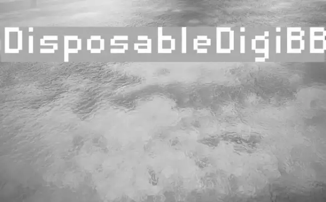 DisposableDigiBB Example 2