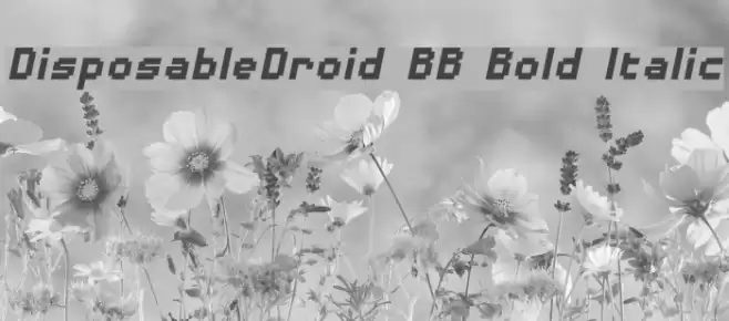 DisposableDroid BB Bold Italic Font examples