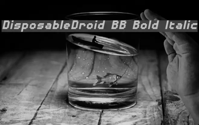 DisposableDroid BB Bold Italic Font examples