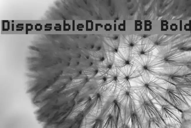 DisposableDroid BB Bold Font examples