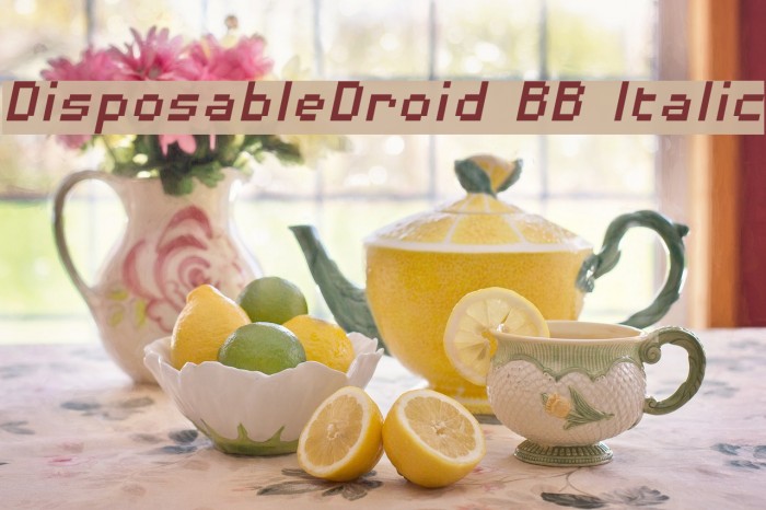 DisposableDroid BB Italic Example 1