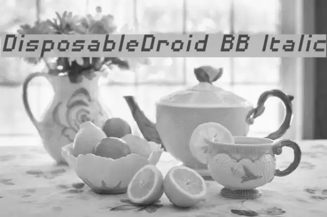 DisposableDroid BB Italic Font examples
