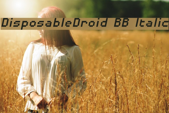 DisposableDroid BB Italic Example 2