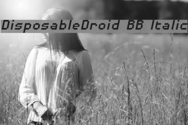 DisposableDroid BB Italic Font examples