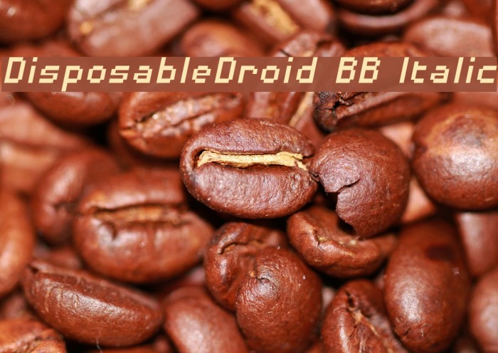 DisposableDroid BB Italic Example 3