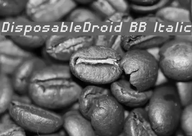 DisposableDroid BB Italic Font examples
