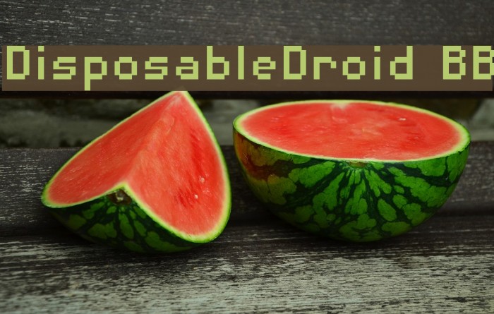 DisposableDroid BB Example 2