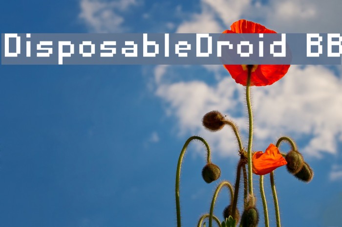DisposableDroid BB Example 3
