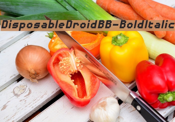 DisposableDroidBB-BoldItalic Font examples