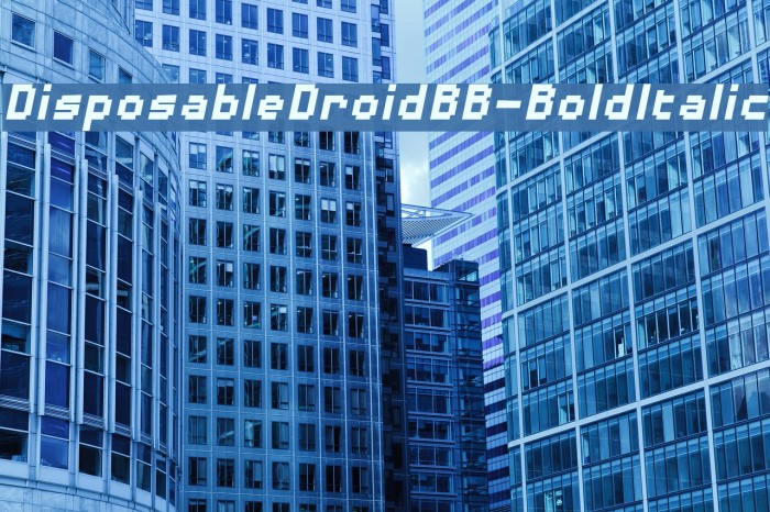 DisposableDroidBB-BoldItalic Font examples