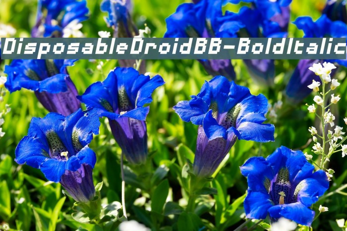 DisposableDroidBB-BoldItalic Font examples