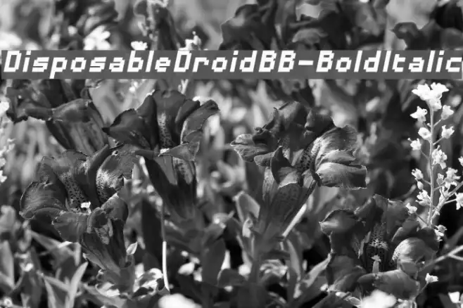 DisposableDroidBB-BoldItalic Example 3