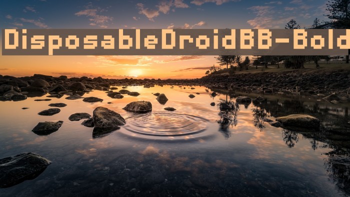 DisposableDroidBB-Bold Example 1