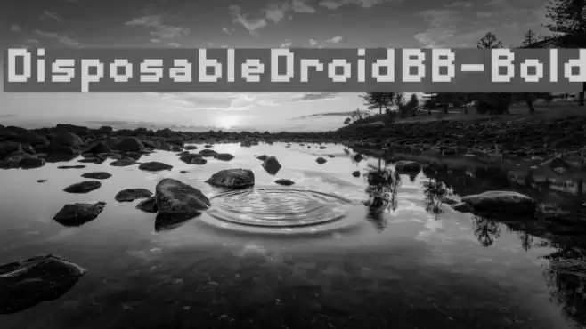 DisposableDroidBB-Bold Font examples