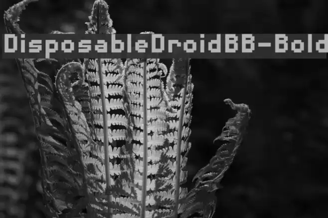 DisposableDroidBB-Bold Font examples
