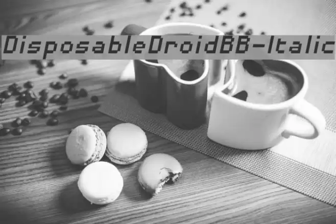 DisposableDroidBB-Italic Font examples