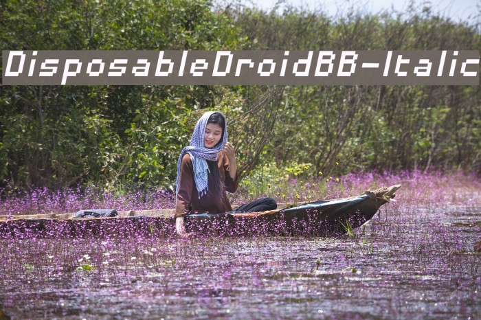 DisposableDroidBB-Italic Example 3