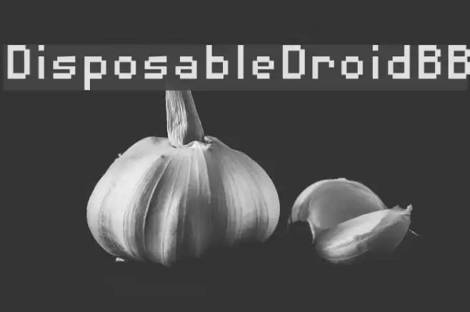DisposableDroidBB Font examples