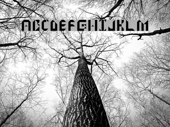Dispose Regular Font examples