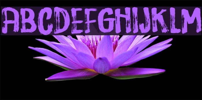 DispositionDEMO Example 2