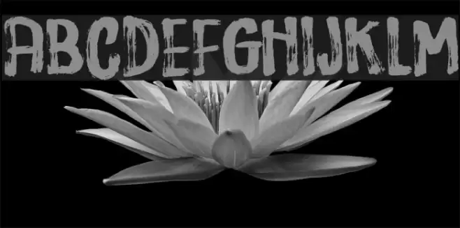 DispositionDEMO Font examples