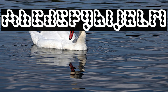 Dispute Regular Font examples