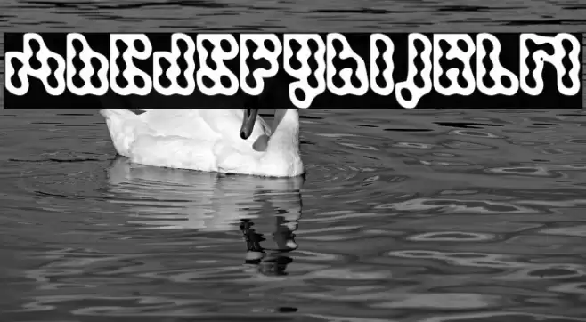 Dispute Regular Fonte examples