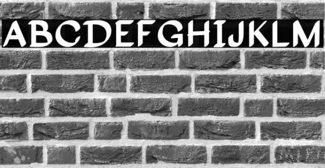 Disputed Housing Polices examples